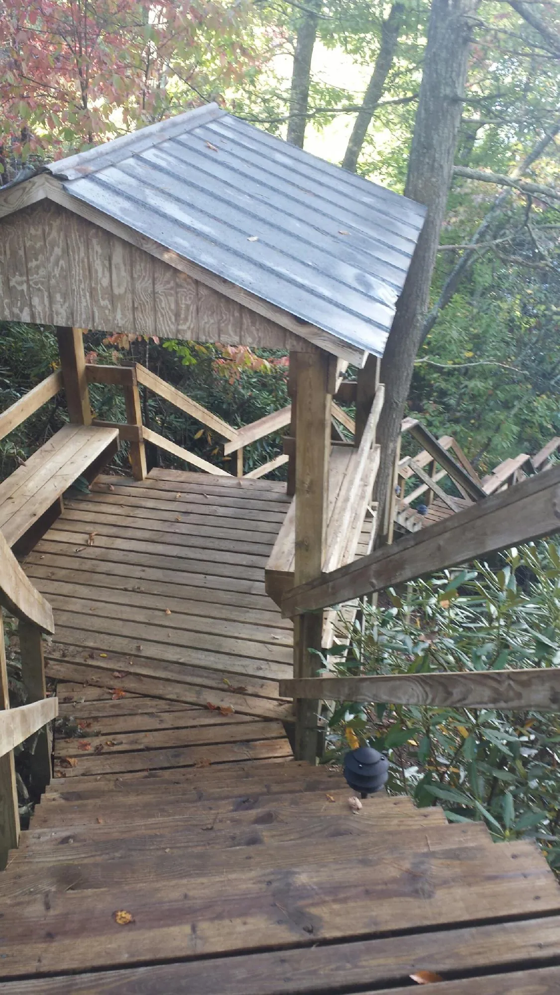 Metal roofed shelter over wooden steps on a wooded walkway — Skylight Repair & Installation work by our crew in Yelm