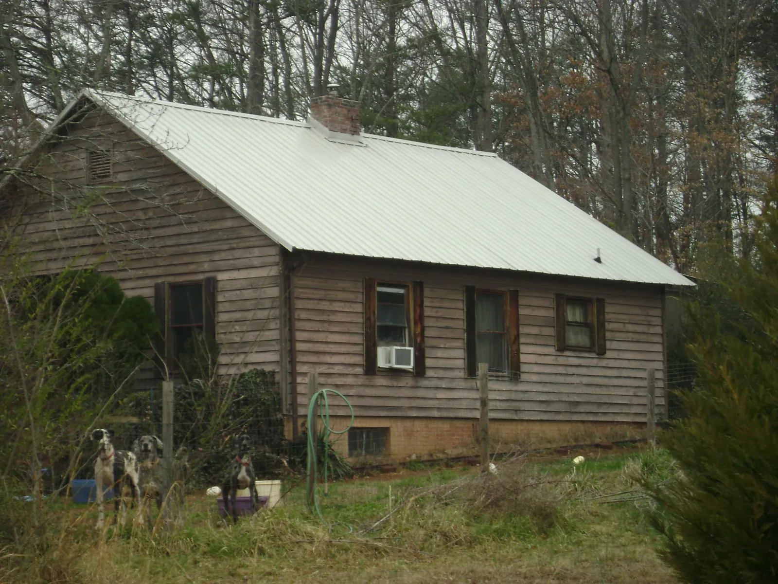 White metal roof on an old wood sided farmhouse, from a Metal Roof Installation job in Yelm